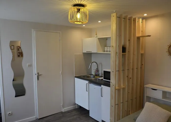 Lägenhet Petit Studio Style Boheme - Appartement Proche Hopital